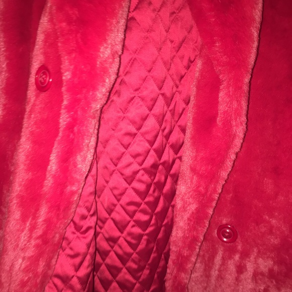 Elegant Winter Coat! Warm and Wonderful! - Picture 2 of 4